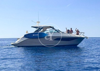 SEA RAY 320 SUNDANCER image 1
