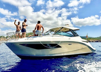 SEA RAY 320 SUNDANCER image 6