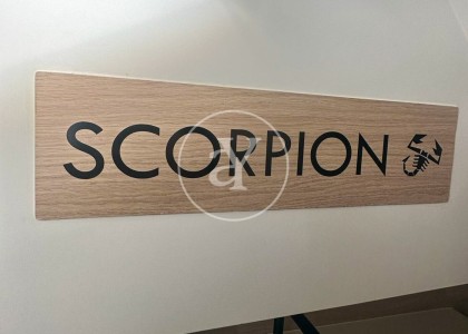SCORPION 50  image 25