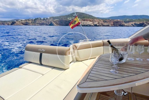 SEA RAY 320 SUNDANCER 1
